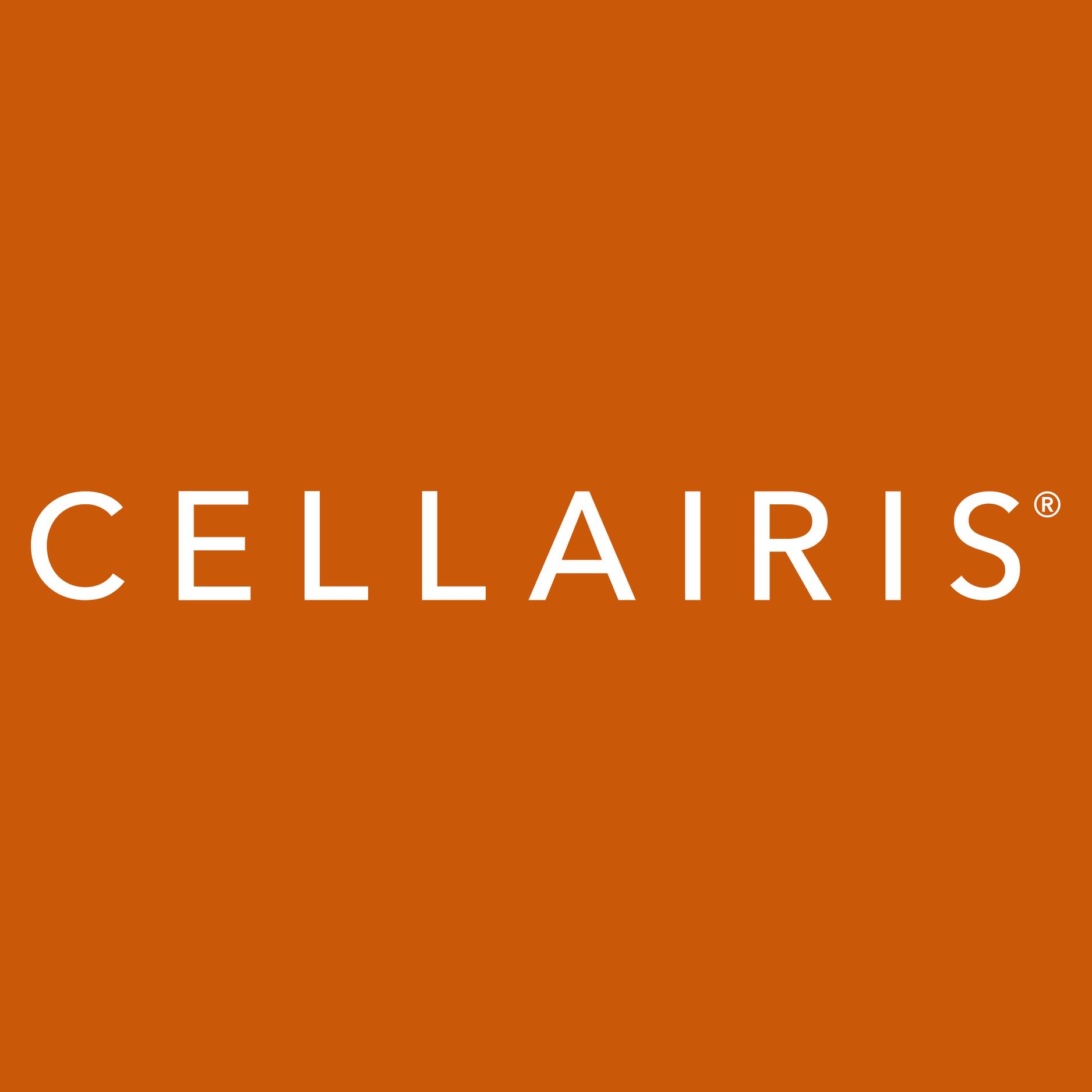 Logo de Cellairis